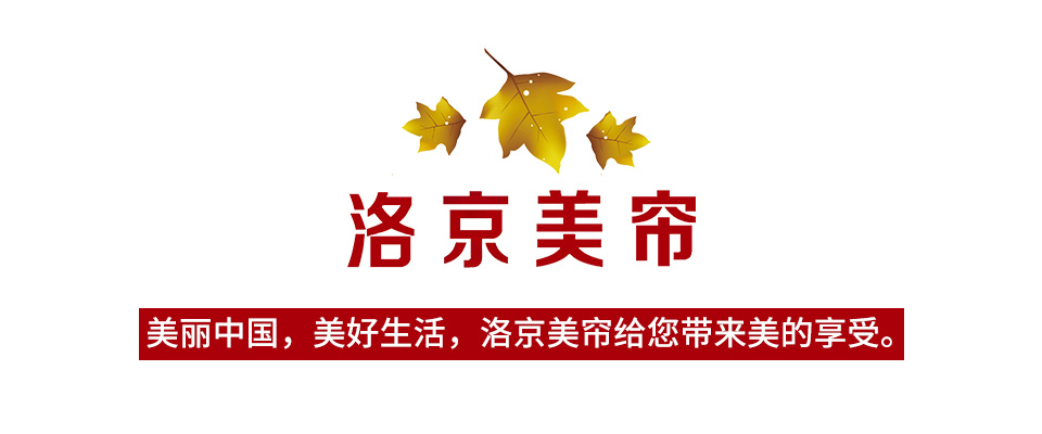 北京洛京美簾的業(yè)務范圍